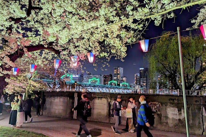 Asakusa: Night viewing of cherry blossom — photo 13