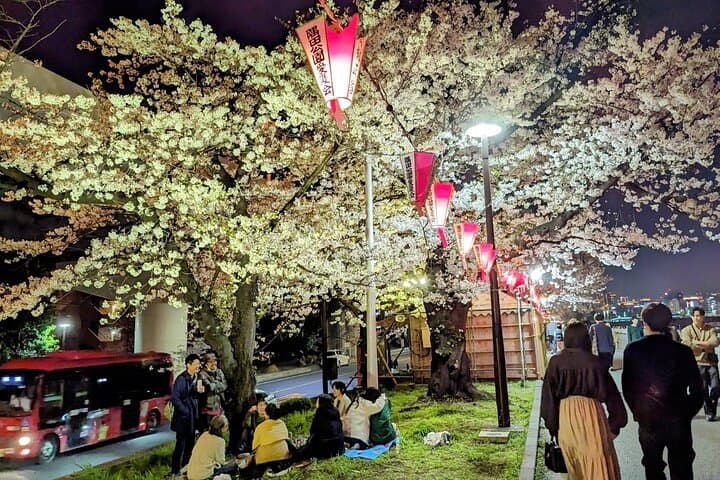Asakusa: Night viewing of cherry blossom — photo 9