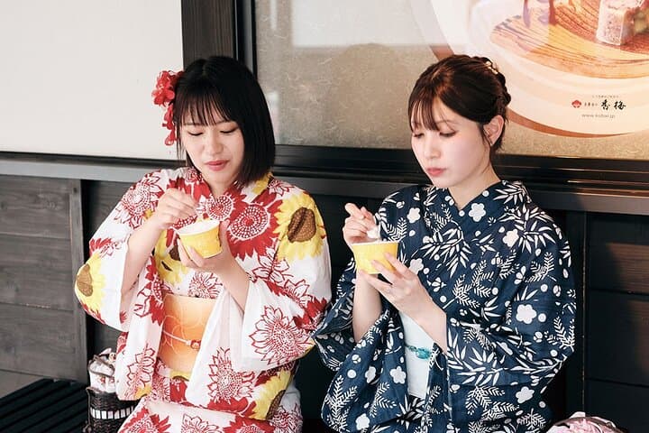 Kyushu Kumamoto Josaien Kimono Rental Private Experience — photo 11