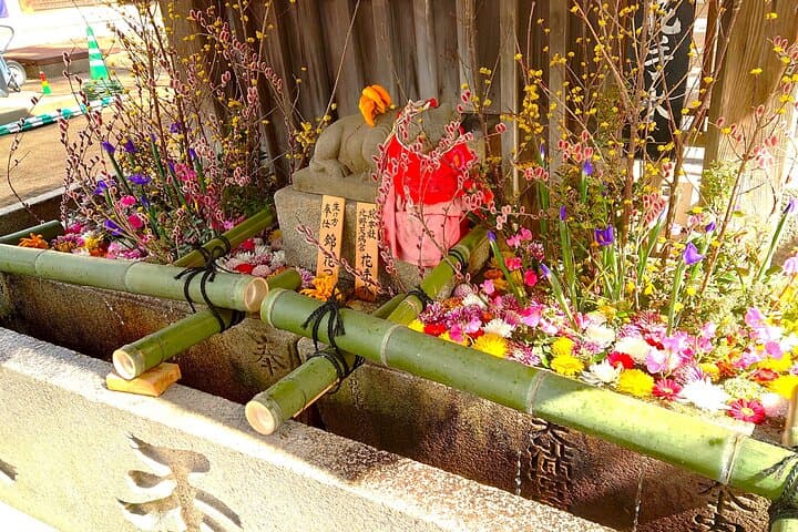 Kyoto: Arashiyama Guided Slow Cycling Tour — photo 12