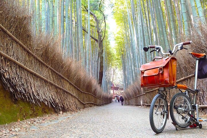 Kyoto: Arashiyama Guided Slow Cycling Tour — photo 18