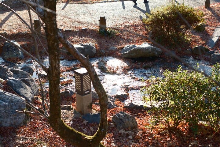 Private Tour with Local Photographer — photo 8