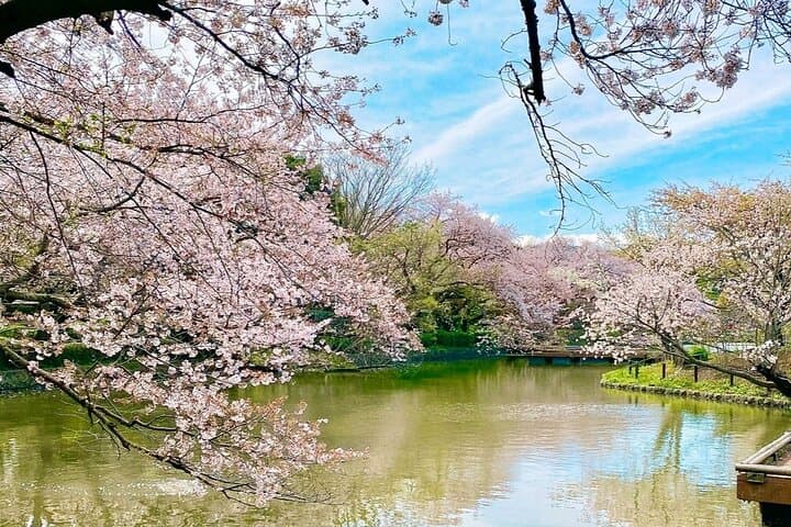 Fun Personalized Kamakura Walking Tour with a Local Guide — photo 2