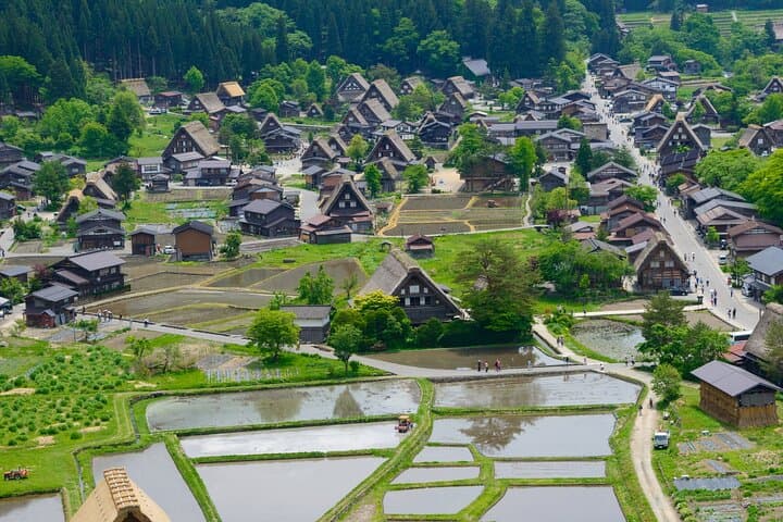 Private Guided Tour from Nagoya to Takayama and Shirakawa-go — photo 2