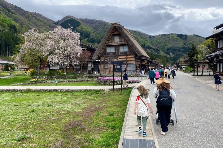 Private Guided Tour from Nagoya to Takayama and Shirakawa-go — photo 5