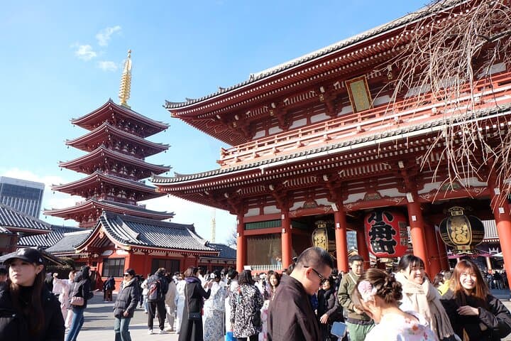 1 day TokyoPrivateBusTours + LicenseGuide + MatchaMakingTokyo — photo 20