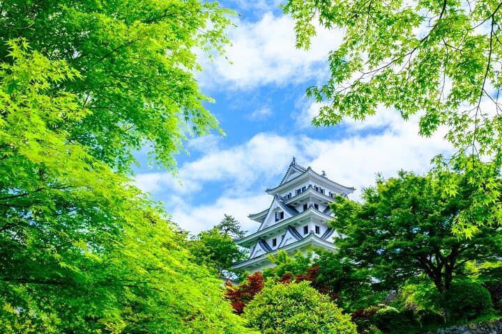 Gujo, Hida Takayama, and Shirakawa-go Day Tour from Nagoya — photo 2
