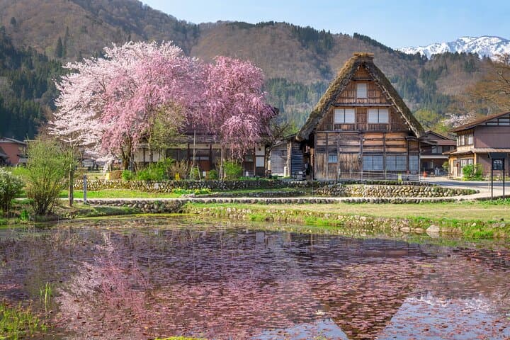 Gujo, Hida Takayama, and Shirakawa-go Day Tour from Nagoya — photo 8