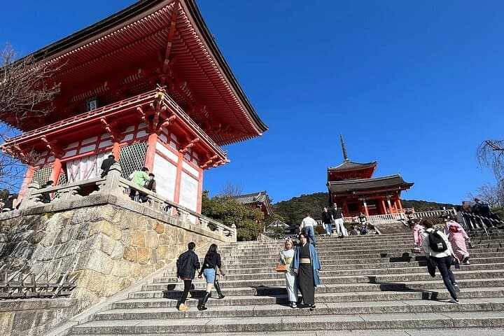 Luxury Japan Family Tour with Daily Start, Private Guide — photo 9