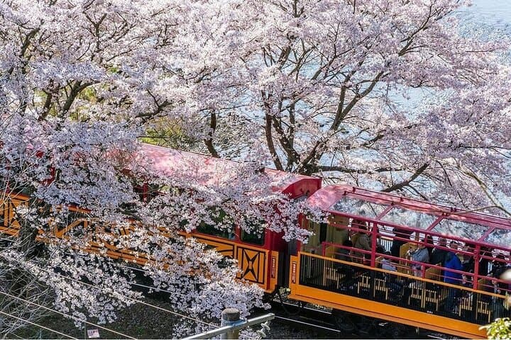 Arashiyama Sagano Romantic Train，Fushimi Inari Taisha & Nara Park — photo 3