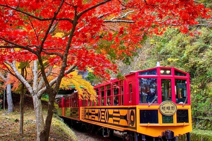 Arashiyama Sagano Romantic Train，Fushimi Inari Taisha & Nara Park — photo 5