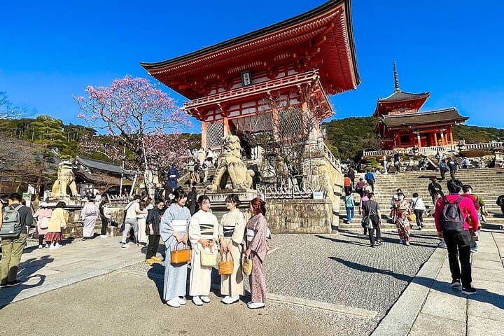 Private 21-days Japan Holiday from Tokyo — photo 16
