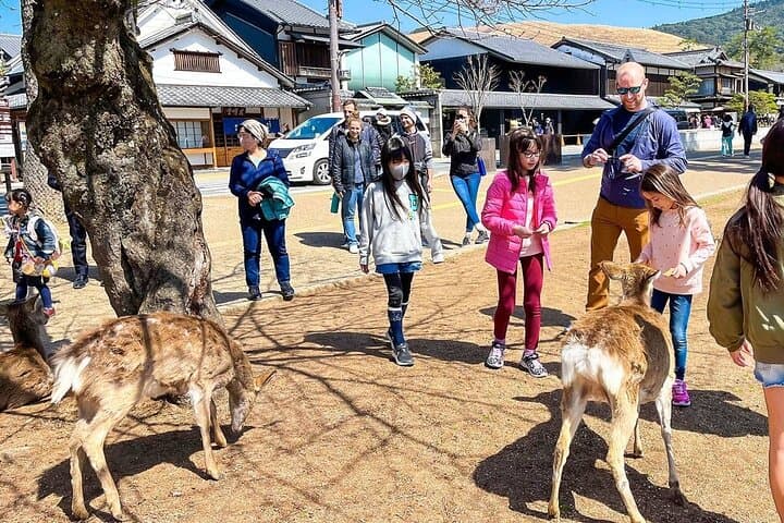 16 Days Japan and China Discovery Private Guide — photo 2