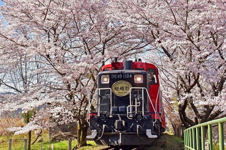 Arashiyama Sagano Romantic Train，Fushimi Inari Taisha & Nara Park — photo 2