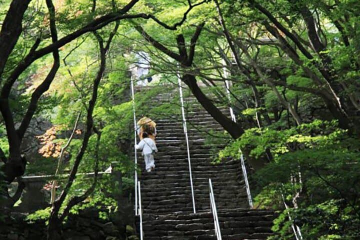 Kotoden Train Ride Experience & Private Takamatsu Tour by car — photo 5