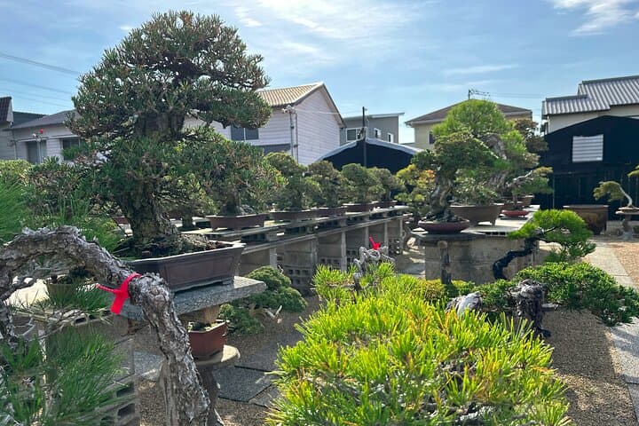 Kotoden Train Ride Experience & Private Takamatsu Tour by car — photo 2
