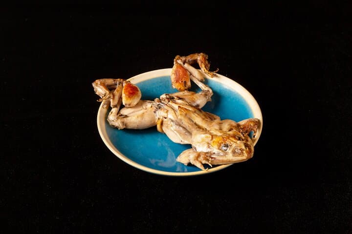 Restaurants in Tokyo Where You Can Eat Exotic Food — photo 2