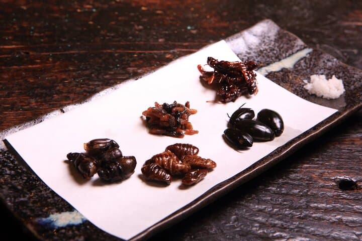 Restaurants in Tokyo Where You Can Eat Exotic Food — photo 1