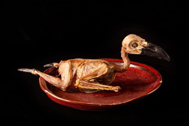 Restaurants in Tokyo Where You Can Eat Exotic Food — photo 3