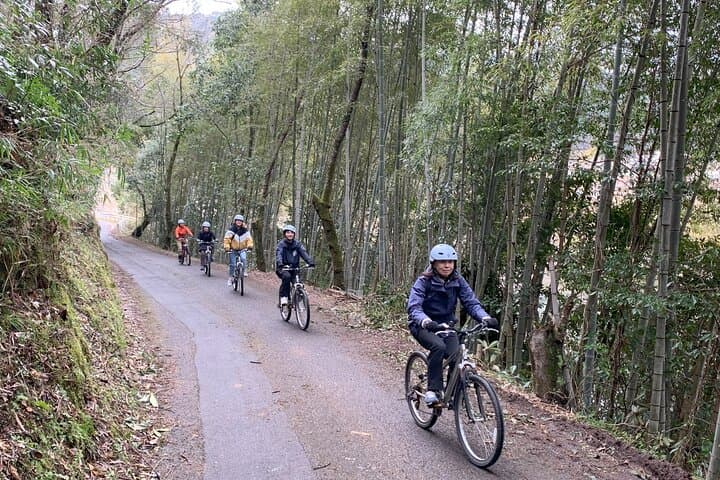 Explore the Shimanto River by Local Train and Bicycle — photo 3