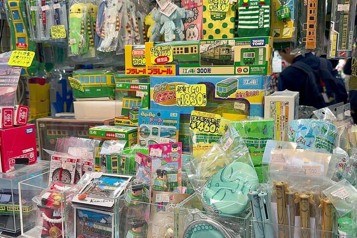 Fun Personalized Kamakura Walking Tour with a Local Guide — photo 10