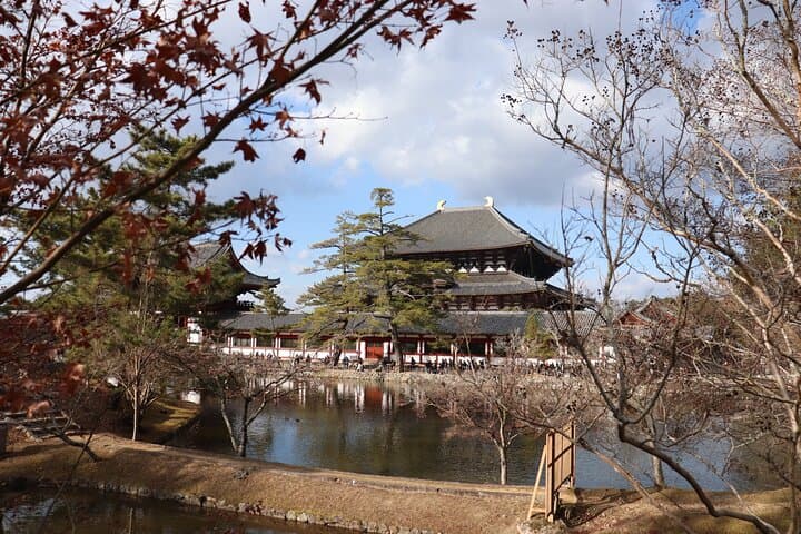 Nara Walking Day Tour with Spanish Speaking Guide — photo 2