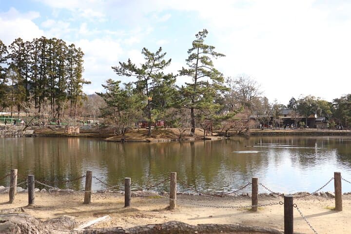 Nara Walking Day Tour with Spanish Speaking Guide — photo 4