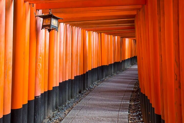 Kyoto and Nara Day Tour from Osaka or Kyoto — photo 11