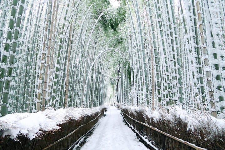 Kyoto and Nara Day Tour With English Guide — photo 5