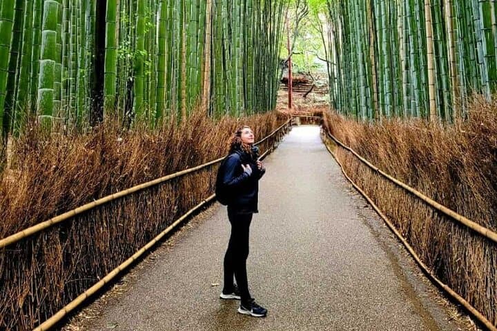 Kyoto and Nara Day Tour from Osaka or Kyoto — photo 5