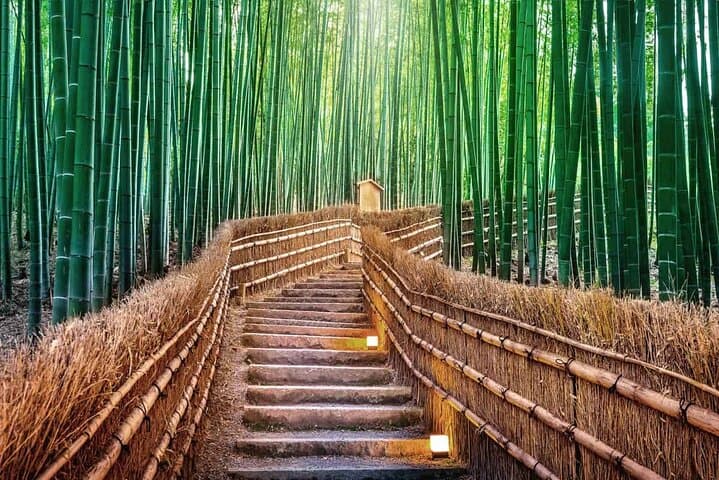 Kyoto and Nara Day Tour from Osaka or Kyoto — photo 13