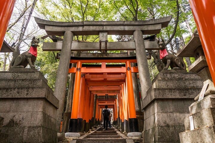 Kyoto and Nara Day Tour from Osaka or Kyoto — photo 14