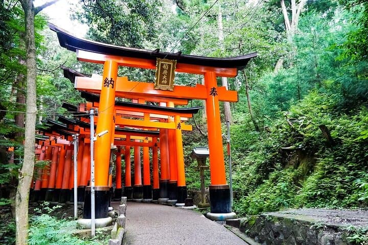 Kyoto and Nara Day Tour from Osaka or Kyoto — photo 15