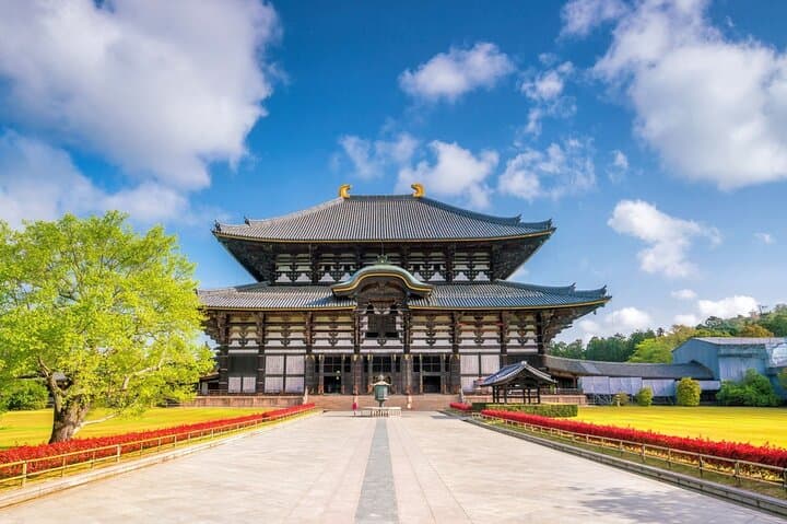 Kyoto and Nara Day Tour from Osaka or Kyoto — photo 18