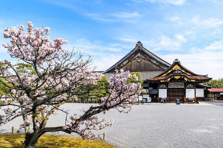 Kyoto Full Day Sightseeing Tour from Osaka or Kyoto — photo 9