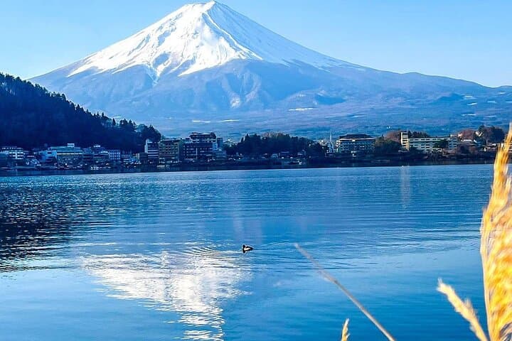 16 Days Japan and China Discovery Private Guide — photo 3