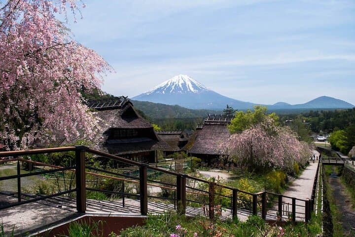 Japan Mount Fuji Tour – Special Discount Offer — photo 9