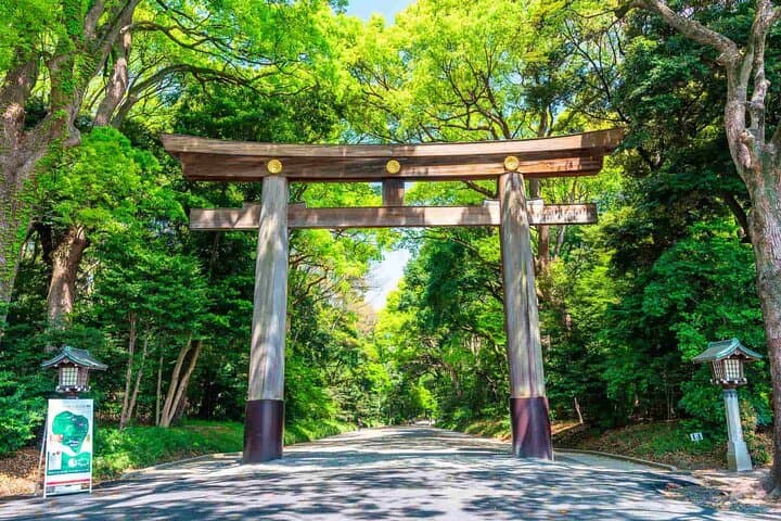 Tokyo Morning Tour : Meiji Shrine, Asakusa and Fish Market — photo 15
