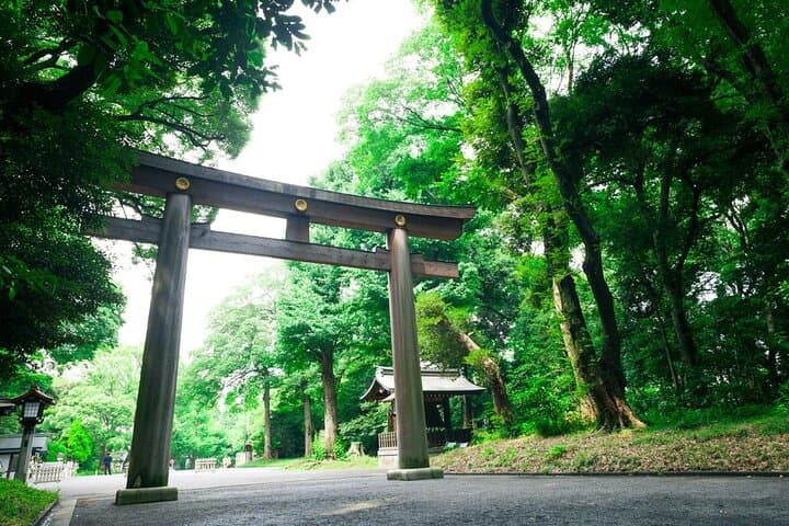 Tokyo Top 5 Must-See Private 6hr Walking Tour with Licensed Guide — photo 5