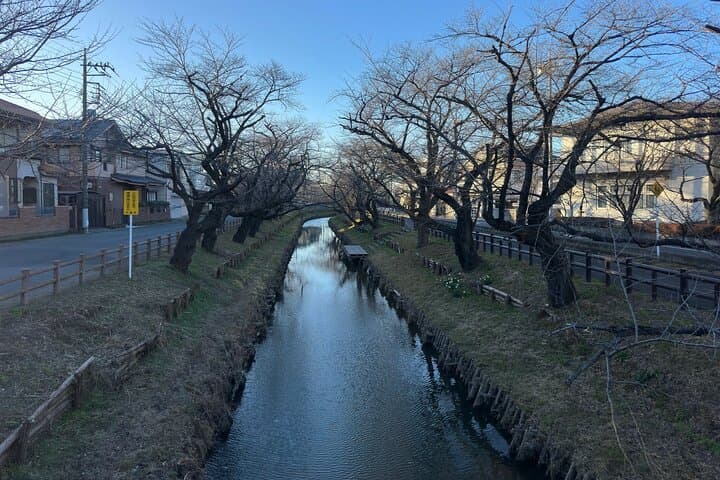 Exclusive Tokyo City and Kawagoe City Private Day Tour — photo 13