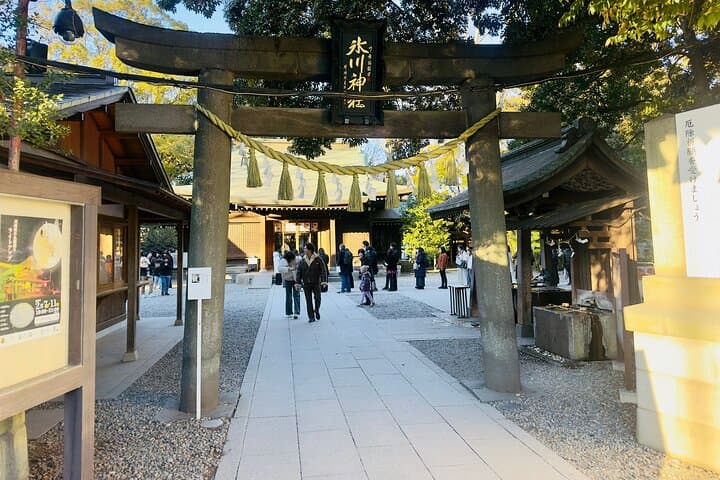 Exclusive Tokyo City and Kawagoe City Private Day Tour — photo 18