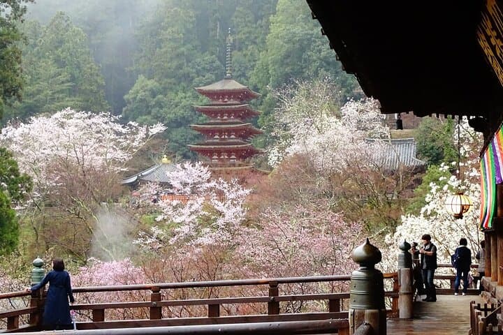 Kamakura and Yokohama Private Tour with Bilingual Chauffeur — photo 4