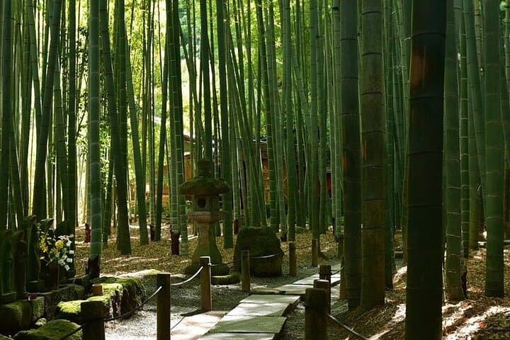 Kamakura and Yokohama Private Tour with Bilingual Chauffeur — photo 12