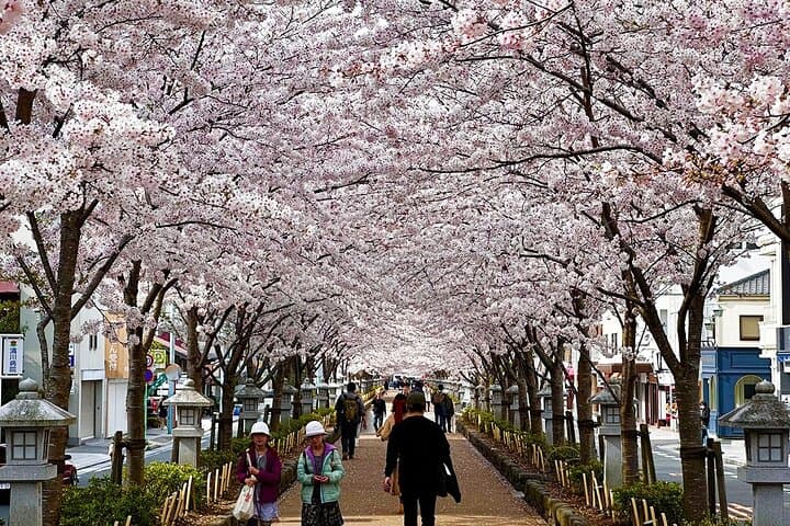 Kamakura and Yokohama Private Tour with Bilingual Chauffeur — photo 16