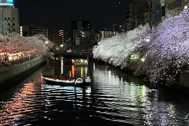 Cherry Blossom Viewing from a Boat: Tour in Yokohama Minato Mirai — photo 3