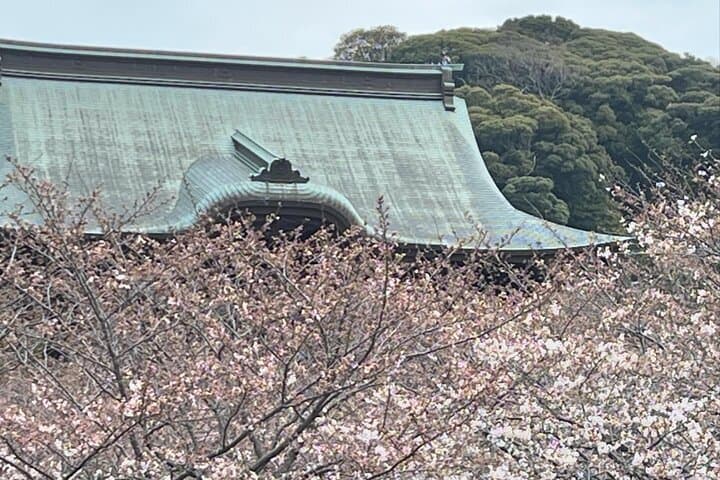 Cherry Blossom Viewing from a Boat: Tour in Yokohama Minato Mirai — photo 7