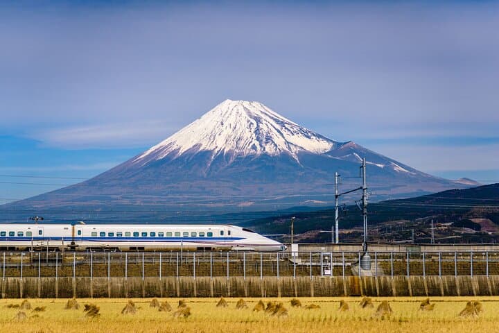 Mount Fuji and Hakone Customize Private Day Tour with Driver — photo 1