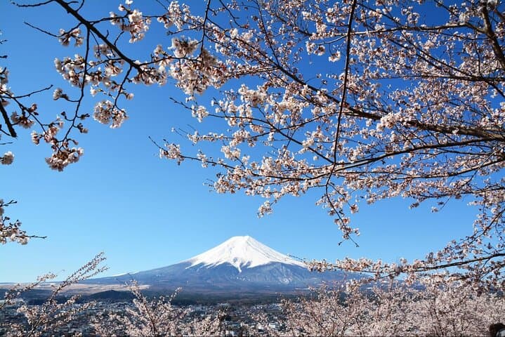 Mount Fuji and Hakone Customize Private Day Tour with Driver — photo 2