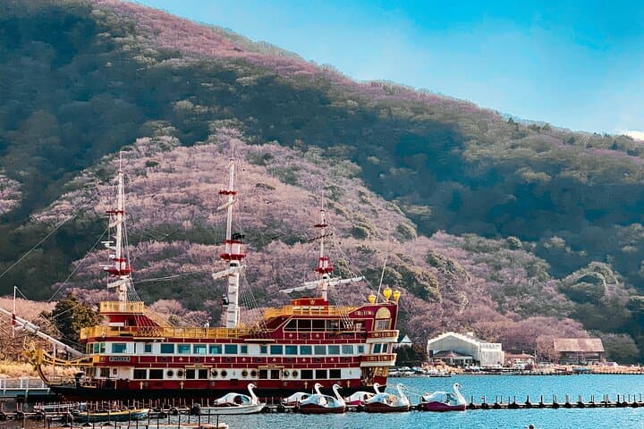 Mount Fuji and Hakone Customize Private Day Tour with Driver — photo 4