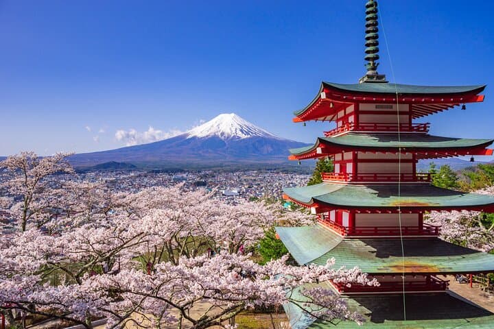 Mount Fuji and Hakone Customize Private Day Tour with Driver — photo 5